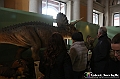 VBS_1015 - Dinosauri. Terra dei giganti